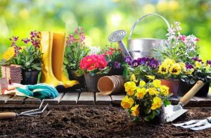 Curso de Jardinería